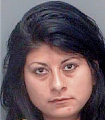 Sylvia Bahajhe, - Pinellas County, FL 