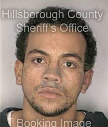 Silvio Castillo, - Hillsborough County, FL 