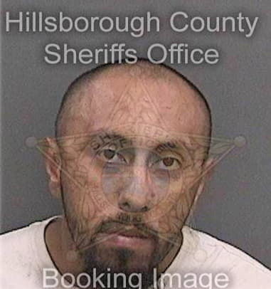 Jason Deleo, - Hillsborough County, FL 