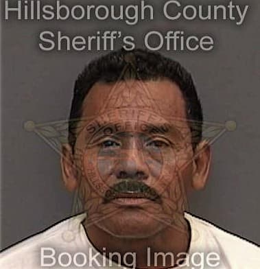 Robert Pellechio, - Hillsborough County, FL 