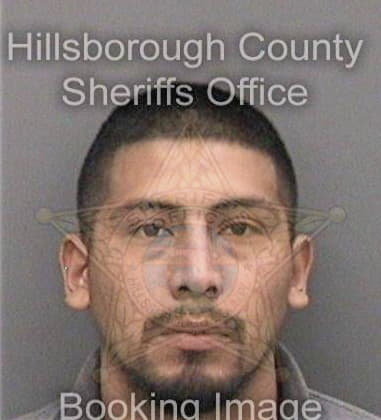Gage Robbins - Hillsborough County, FL 