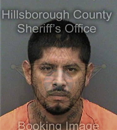 Daniel Springer, - Hillsborough County, FL 