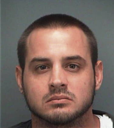 Anthony Bedell, - Pinellas County, FL 