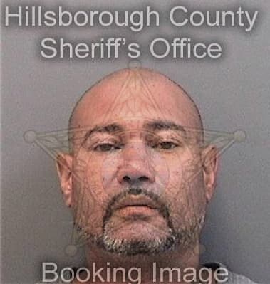 Juan Hernandez-Gonzalez - Hillsborough County, FL 