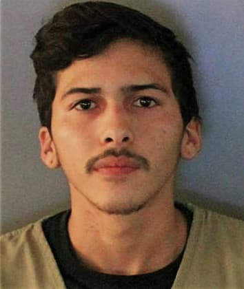 Jorge Hernandez-Montes, - Charlotte County, FL 