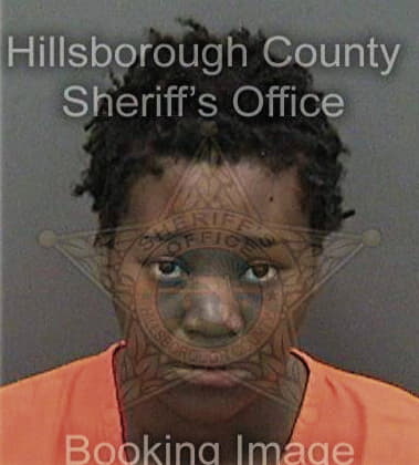 Tiffany McKinney - Hillsborough County, FL 