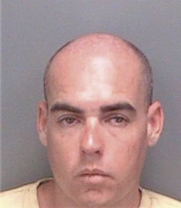 Michael Mills, - Pinellas County, FL 