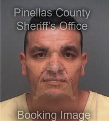 Christopher Verstraten, - Pinellas County, FL 