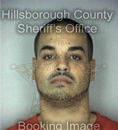 Timothy Fernandez, - Hillsborough County, FL 