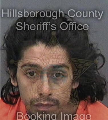 Gabriel Flores-Arzate, - Hillsborough County, FL 