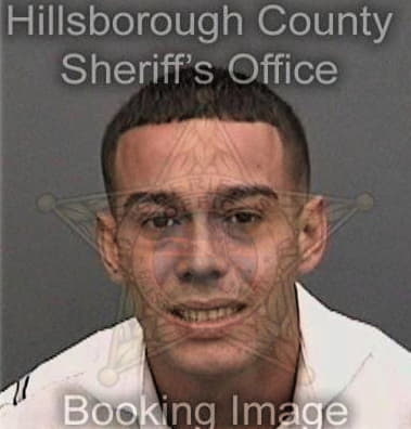 Michael Fox, - Hillsborough County, FL 