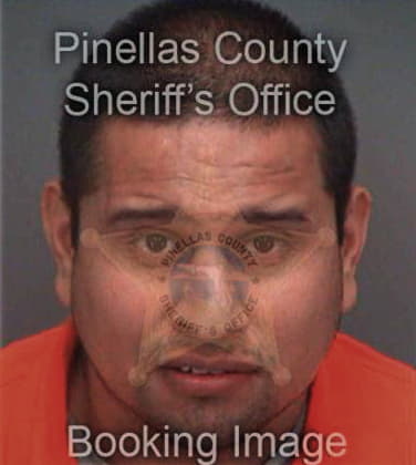 Omar Lopez, - Pinellas County, FL 