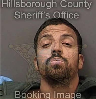 Christian Martin, - Hillsborough County, FL 