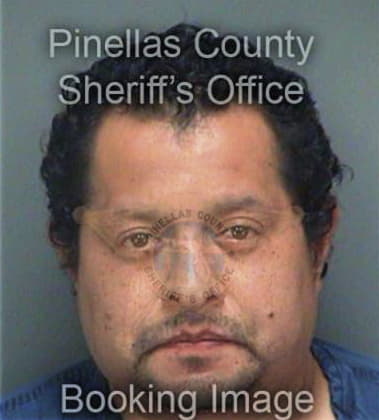 Gabriel Vieyraavalos, - Pinellas County, FL 