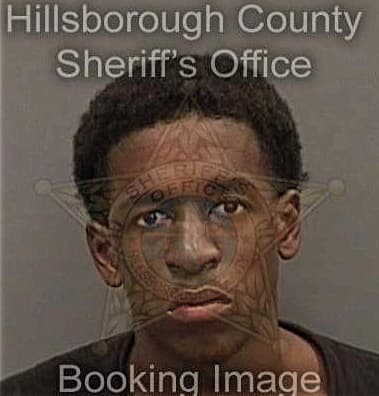 Lutrell Washington, - Hillsborough County, FL 