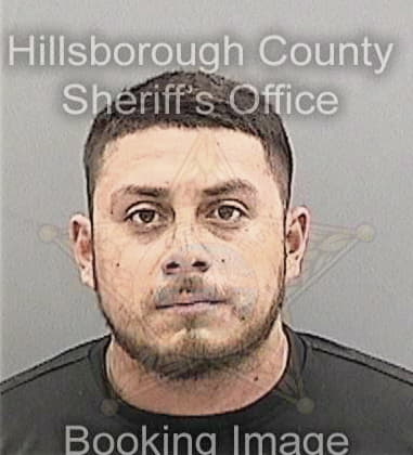 James Young, - Hillsborough County, FL 