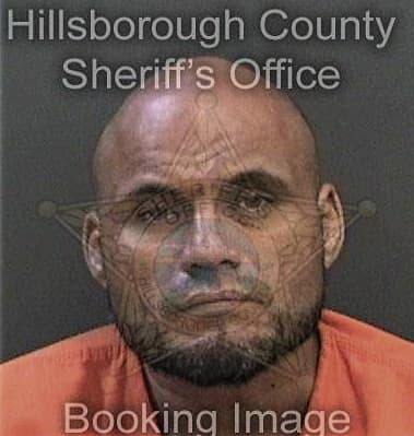 Jesus Arroyo, - Hillsborough County, FL 