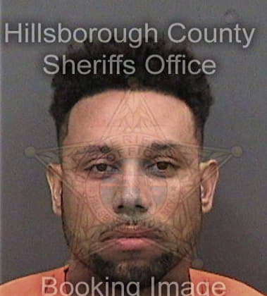 Roberto Ayalaaviles, - Hillsborough County, FL 