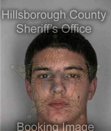 Harold Borges - Hillsborough County, FL 