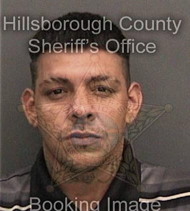 Wilfredo Flores-Rivera, - Hillsborough County, FL 