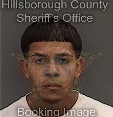 Christopher Price, - Hillsborough County, FL 