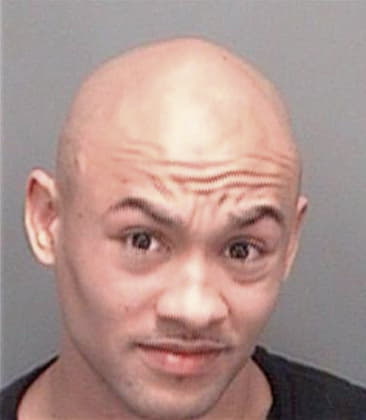 Fabian Reina-Torres, - Pinellas County, FL 