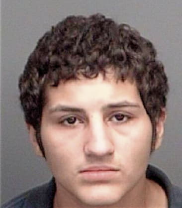 Enrique Brasoquintero, - Pinellas County, FL 