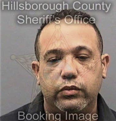 William McAloon - Hillsborough County, FL 