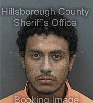 Nicholas Spiro, - Hillsborough County, FL 