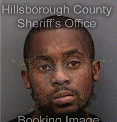 Ronald Young, - Hillsborough County, FL 