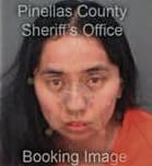 Keren Cruz-Perez, - Pinellas County, FL 