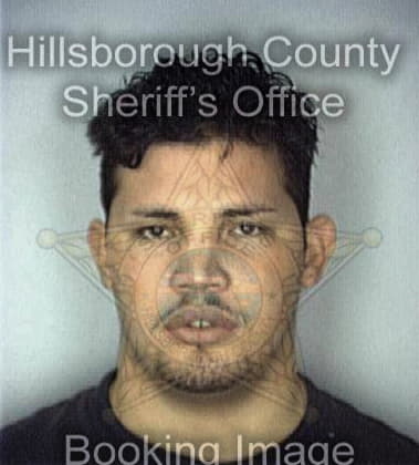 Leonardo Fernandez, - Hillsborough County, FL 