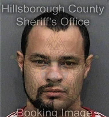 Daveon Fleming, - Hillsborough County, FL 