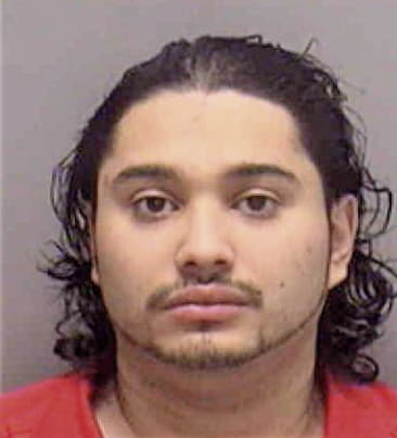 Bayron Guzman, - Lee County, FL 