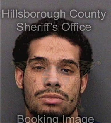 Michael Little, - Hillsborough County, FL 