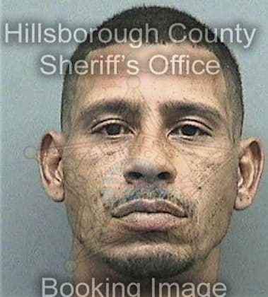 Ramon Lugo, - Hillsborough County, FL 