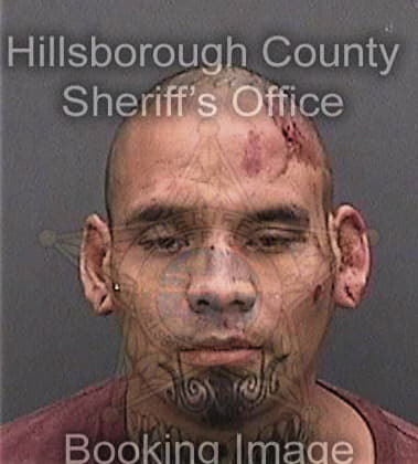 Jisley Prieto-Sanchez, - Hillsborough County, FL 