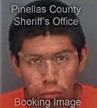 Gustavo Alcantaracardenas, - Pinellas County, FL 