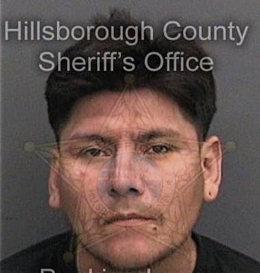 Joshua Allen, - Hillsborough County, FL 