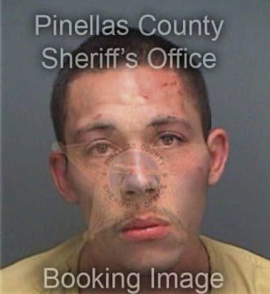 Martin Jones, - Pinellas County, FL 