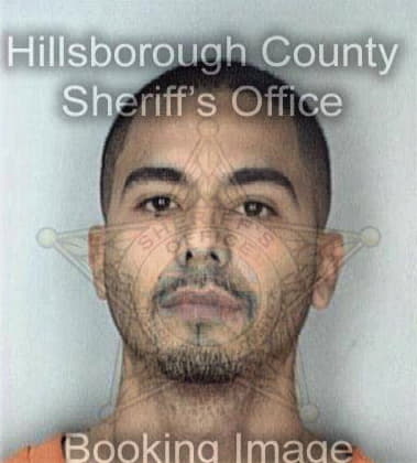 Manuel Lourenco, - Hillsborough County, FL 