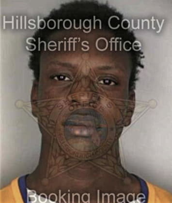 Benjamin McKelvin - Hillsborough County, FL 