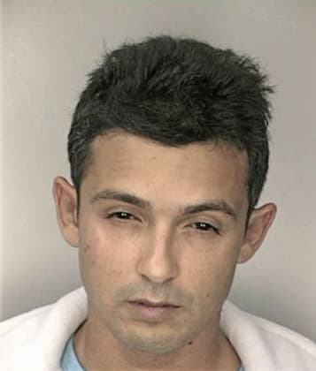 Rufino Medrano - Hillsborough County, FL 