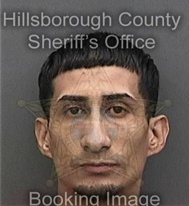 Robert Orlando, - Hillsborough County, FL 