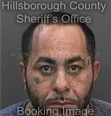 Michael Rosario, - Hillsborough County, FL 