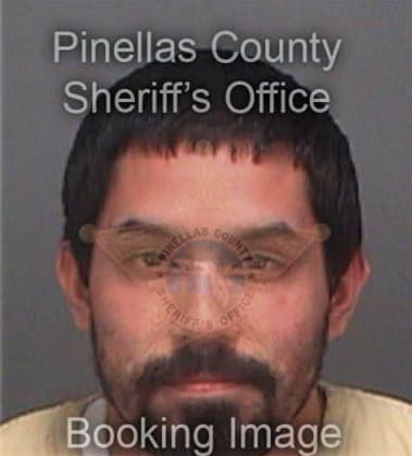 Felipe Dorantes, - Pinellas County, FL 