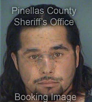 Peter Forlivio, - Pinellas County, FL 