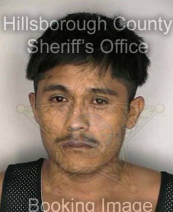 Manuel Hernandez - Hillsborough County, FL 