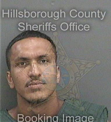 Robert McCullough - Hillsborough County, FL 