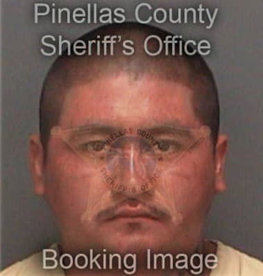 Edward Medina, - Pinellas County, FL 